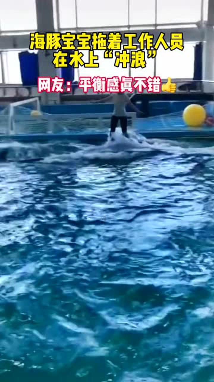 生化危机：浣熊市行动